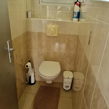 Maison Familiale Tres Fonctionnelle Schwindratzheim